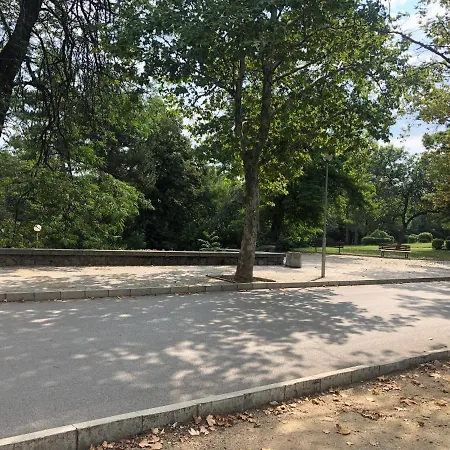 Fantasy 15 комплекс фантазия, Hisarea