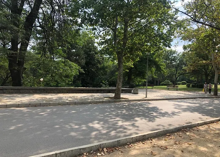 Fantasy 15 комплекс фантазия, Hisarya