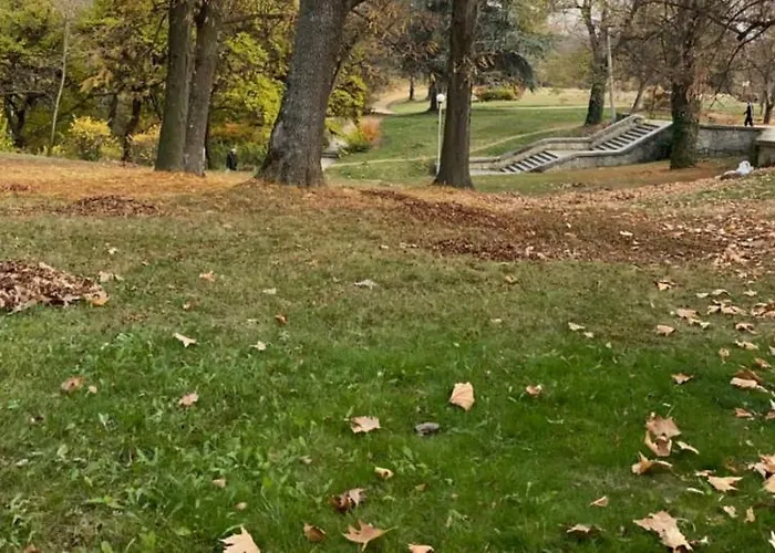 Fantasy 15 комплекс фантазия, Διαμέρισμα